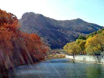 新澳天天开奖资料大全旅游团，虐心小说